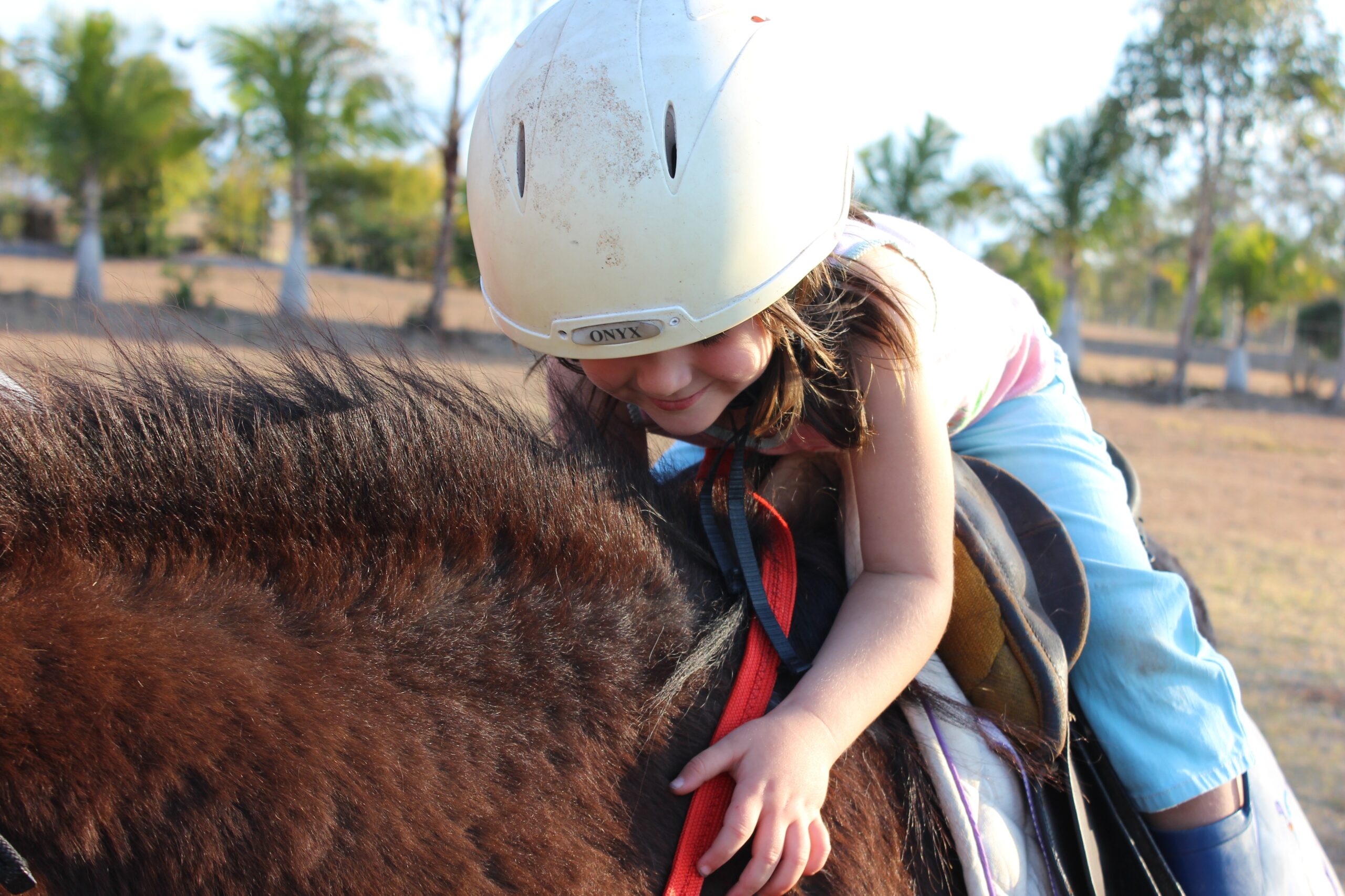 Read more about the article Pony Rides